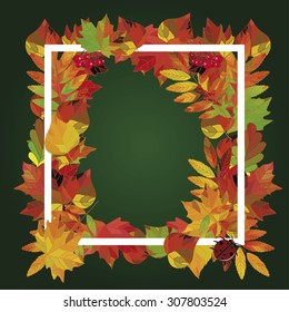 Back to school background. Autumn design with leaves.