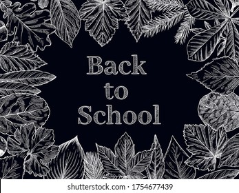 Back to school background. Autumn leaves design banner with text, welcome kids education. New school year for sale offers, poster, notebooks artistic cover concept vector illustration.