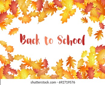 Back to school background with oak leaf vector frame or border illustration on white. Autumn foliage, seasonal image. Red, yellow, orange dry oak tree leaves background borders with text.