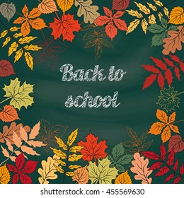 Back to school  background on school blackboard  with autumn leafs. Vector Illustration.