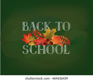 Back to school. Banner with  autumn leaves over green chalkboard background. Vector.