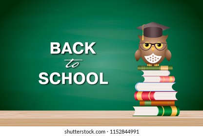 Back to school banner with cute owl on stack of books over blackboard. Vector illustration