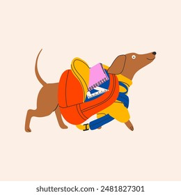 Back to school. Dachshund dog ready for school with school stationery. Funny cartoon character. 