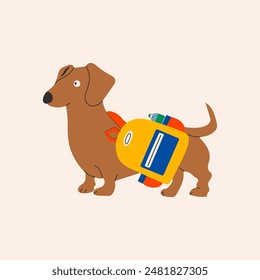 Back to school. Dachshund dog ready for school with school stationery. Funny cartoon character. 