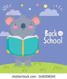 back to school education cute koala reading book knowledge vector illustration