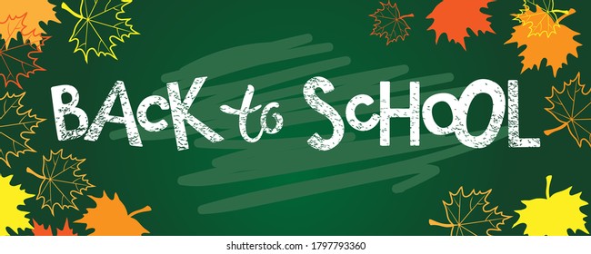 Back to school lettering on school chalkboard with autumn maple leaves. Hand lettering quote. Return to class concept. White letters on green school board