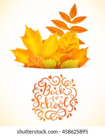 Back to school poster with hand drawn lettering and autumn leaves, vector illustration