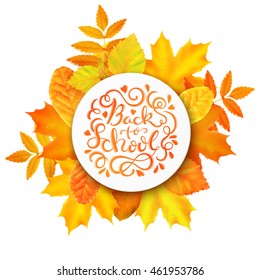 Back to school poster with hand drawn lettering and autumn leaves, vector illustration
