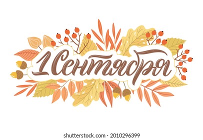 Back to school quotes in Russian. Hand-drawn lettering with decorative elements in trendy style. Cozy design for your projects. Russian translation September 1.