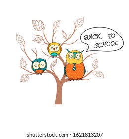 Back to school. A smart owl in a tie and two small, cute owls are sitting on a tree. Beautiful cartoon doodle owls in sketch style. Vector illustration in trendy arched colors.
