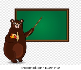 Back to school or teachers day vector illustration of cute cartoon bear teacher in glasses and tie holding pointer and autumn leaves bouquet near blackboard with copy space on transparent background.