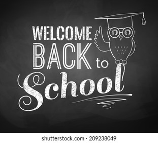 Back to School typographical background with owl. Chalkboard drawing. Vector illustration.