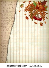 Back to school wallpaper, in old style, vector illustration