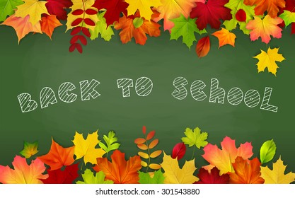 Back to school, written on blackboard with autumn leaves, vector illustration.