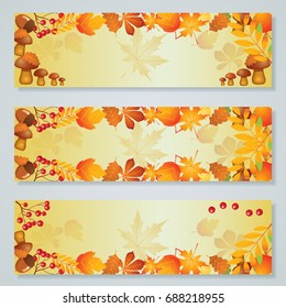 Back to school,happy thanksgiving autumn vector banners collection with autumn colorful leaves,berries,mushroom,acorns.
