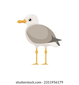 Back of Seagull. Vector cartoon flat illustration of cute sitting seabird. Rear of seagull.