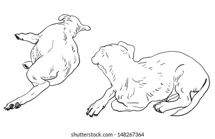 The back side of 2  laying down dogs