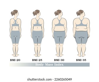 Vista trasera de una hermosa joven. Lista de tipos de cuerpo por índice de masa corporal (IMC). Ilustración. Vector.
