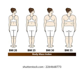 Vista trasera de una hermosa joven. Lista de tipos de cuerpo por índice de masa corporal (IMC). Ilustración. Vector.
