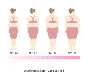 Vista trasera de una hermosa joven. Lista de tipos de cuerpo por índice de masa corporal (IMC). Ilustración. Vector.
