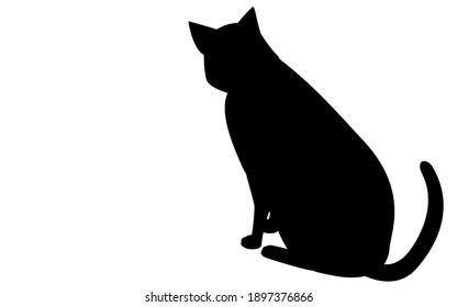 Back view of a black cat staring at the floor