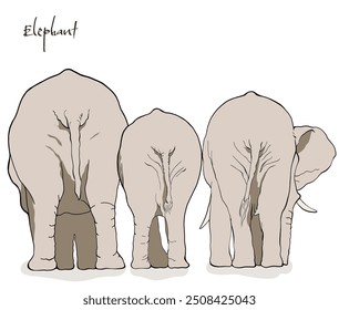 vista traseira da família do elefante