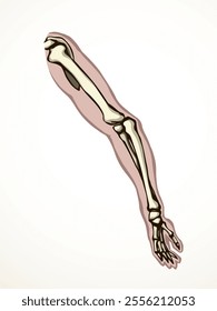 Back view old woman sick torso spine part injury carpal wrist ache hospital surgery care therap scan x ray white logo. Black drawn femal injur thumb medic xray ill elbow ulna pain exam line sketch art