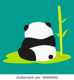 Back View Panda Sitting Beside Bamboo Plant