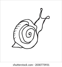 vista posterior de un caracol, estilizado, blanco y negro, sólo arte de línea, vector dibujado a mano