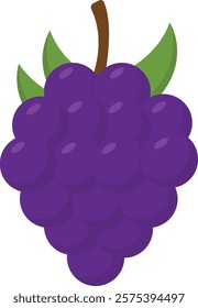 Backberry Fruit Cartoon Illustration Design