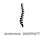 Backbone anatomical poster. Logo or icon for spine center or chiropractor clinic. Intervertebral foramen, cervical, thoracic and lumbar sections of the human vertebrae flat vector medical illustration
