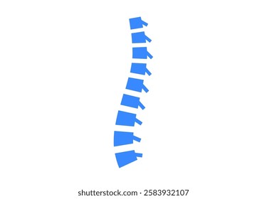 Backbone anatomical poster. Logo or icon for spine center or chiropractor clinic. Intervertebral foramen, cervical, thoracic and lumbar sections of the human vertebrae flat vector medical illustration