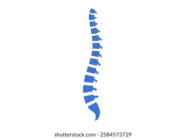 Backbone anatomical poster. Logo or icon for spine center or chiropractor clinic. Intervertebral foramen, cervical, thoracic and lumbar sections of the human vertebrae flat vector medical illustration