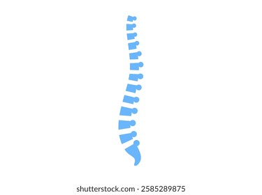 Backbone anatomical poster. Logo or icon for spine center or chiropractor clinic. Intervertebral foramen, cervical, thoracic and lumbar sections of the human vertebrae flat vector medical illustration