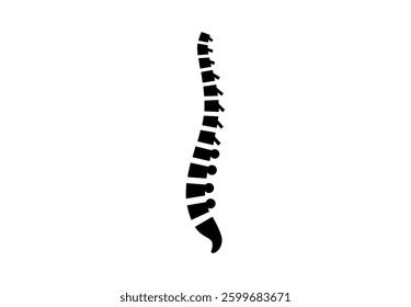 Backbone anatomical poster. Logo or icon for spine center or chiropractor clinic. Intervertebral foramen, cervical, thoracic and lumbar sections of the human vertebrae flat vector medical illustration