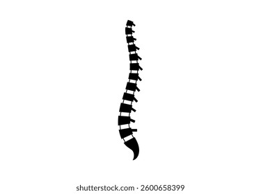 Backbone anatomical poster. Logo or icon for spine center or chiropractor clinic. Intervertebral foramen, cervical, thoracic and lumbar sections of the human vertebrae flat vector medical illustration