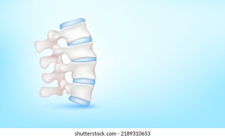 Backbone disc joint with healthy cartilage on blue background with copy space for text. ฺBone human skeleton anatomy of the body. Medical health care science concept. Realistic 3D Vector illustration.