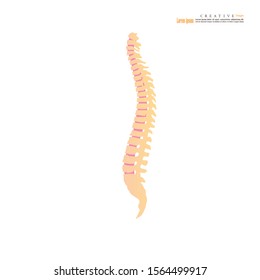 Backbone icon on white background.spinal cord backbone vector.Vector illustration.