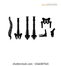 Backbone icon on white background.spinal cord backbone vector.Vector illustration.
