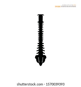 Backbone icon on white background.spinal cord backbone vector.Vector illustration.