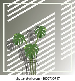 Backdrop and background Used to decorate speech or for other businesses.