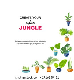Backdrop with exotic potted plants for home gardening, urban jungle, house plant concept. Place for text. Great for banner, poster, flyer, flower shop. Vector illustration.