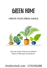 Backdrop with exotic potted plants for home gardening, urban jungle, house plant concept. Place for text. Great for banner, poster, flyer, flower shop. Vector illustration.