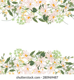 Backdrop with herbs, daisy and wild flowers isolated on white. Frame for your design, greeting cards, announcements, posters. 