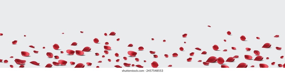 Backdrop of rose petals isolated on a transparent white background. Valentine day background. Vector illustration