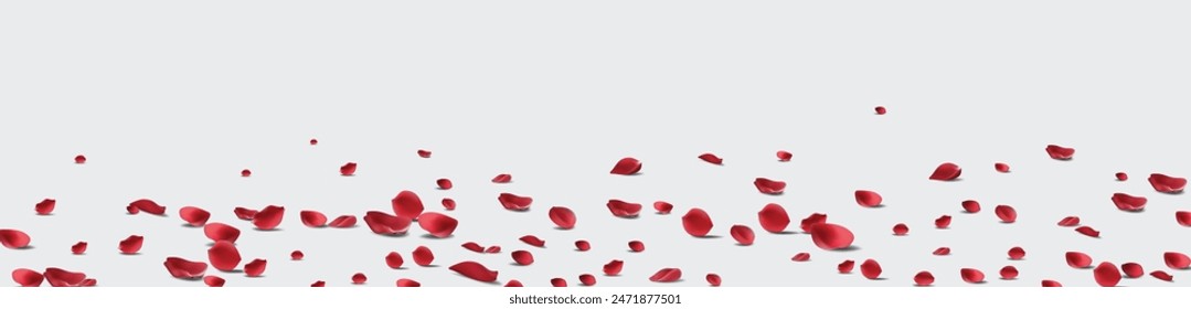 Backdrop of rose petals isolated on a transparent white background. Valentine day background. Vector illustration