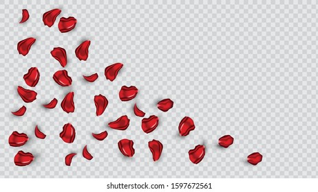 Backdrop of rose petals isolated shape on a transparent white background. happy Valentine day background design template. exclusive Vector illustration