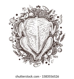 Backed chicken with stuffing, decorated with vegetables. Hand drawn vector line illustration of festive dish.