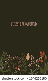 Fondo con elementos florales. Colección botánica. Flores de campo, hierbas. Flores, hojas, ramas y otros elementos naturales. Ilustración del vector