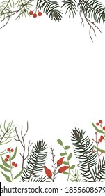 Backgraund for stories with floral elements. Botanical collection. Set of winter floral decoration element with pine, leaves, berries and spruce. Hand drawn style. Vector illustration